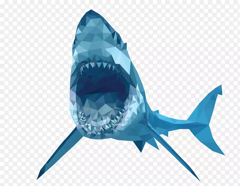 大白鲨虎鲨剪贴画-风水学