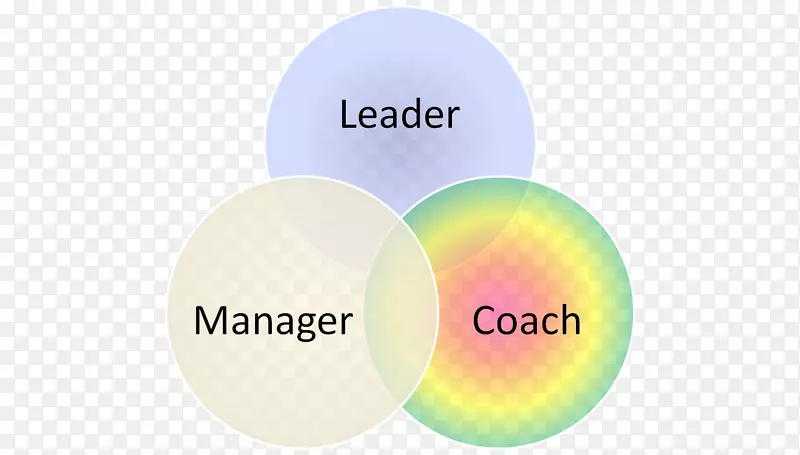 管理领导人力资源培训组织-领导者