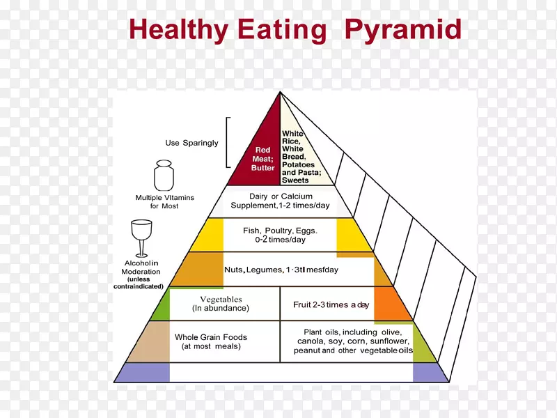 饮食金字塔健康饮食金字塔营养食物过敏