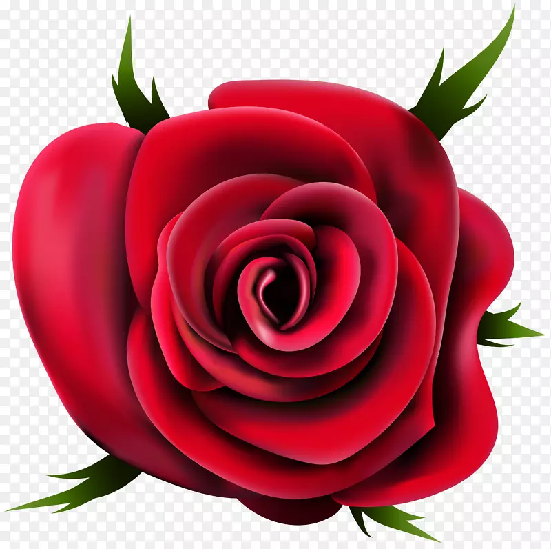 玫瑰桌面壁纸夹艺术-玫瑰