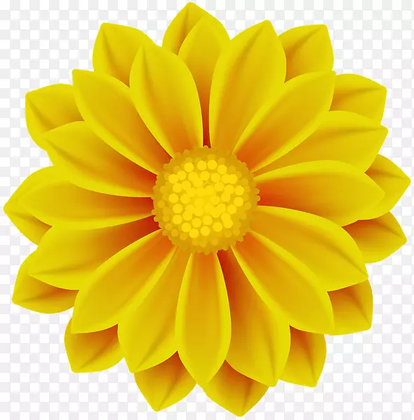 特兰士瓦雏菊摄影项链珍珠-花黄色