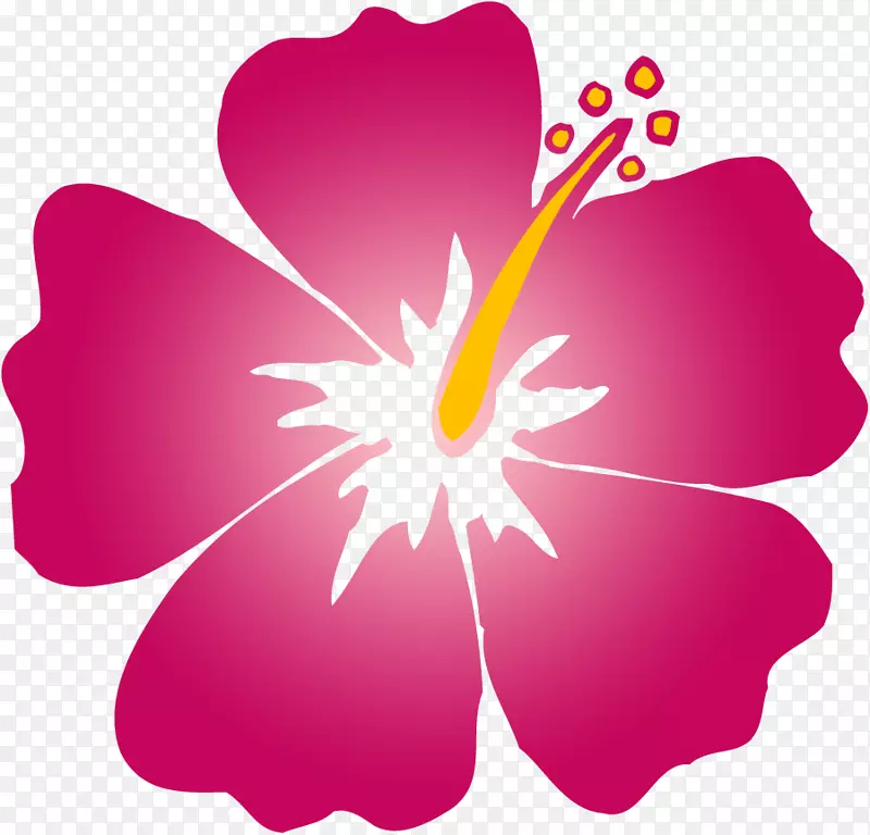 夏威夷木槿花剪贴画-夏威夷花