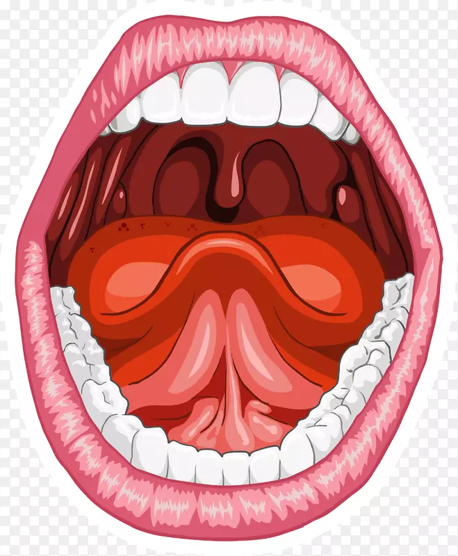 人类口腔解剖智人舌口微笑
