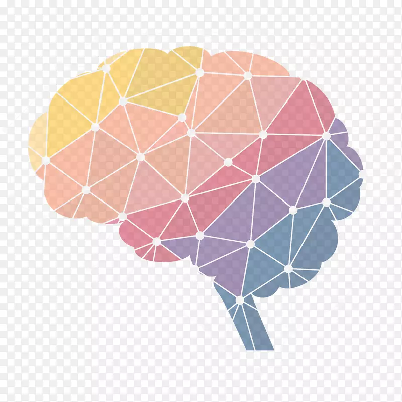 人脑神经科学神经成像信息图形-科学与技术