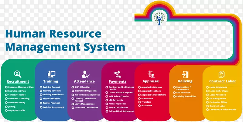 人力资源管理系统人力资源组织-人力资源