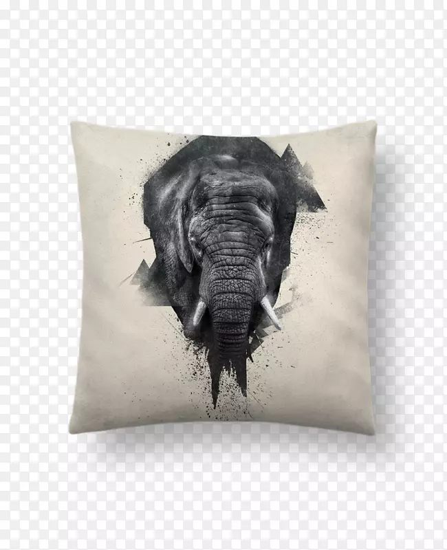 非洲象亚洲象抛枕头垫象母象