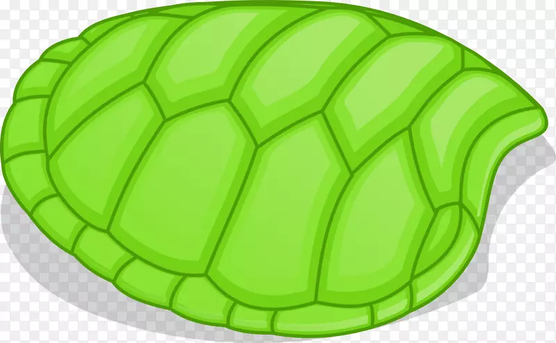 龟甲剪贴画-乌龟