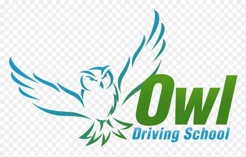OWL驾驶学校驾驶教师学习驾驶学校