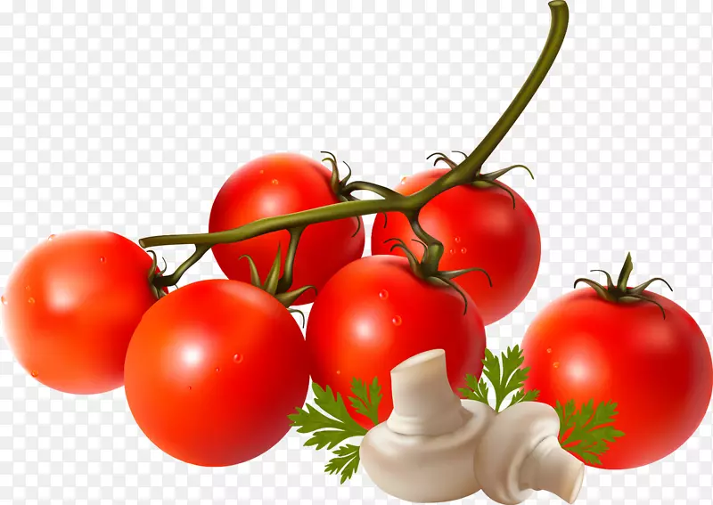 李子番茄蔬菜素食-番茄