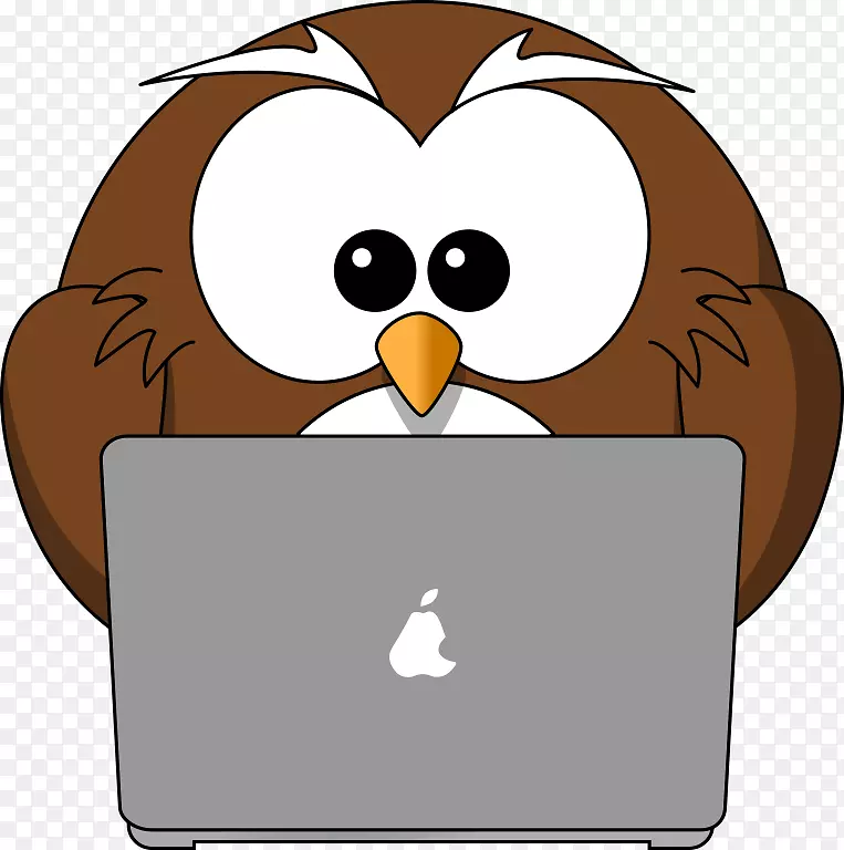 猫头鹰网络安全剪辑艺术-笔记本电脑