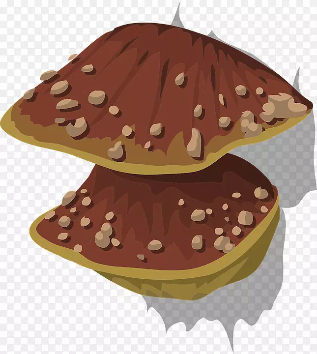 木腐真菌