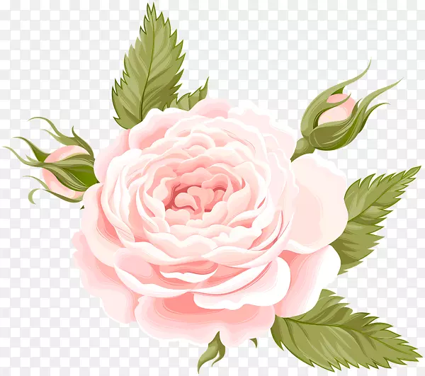 仙人掌玫瑰花园玫瑰花装饰