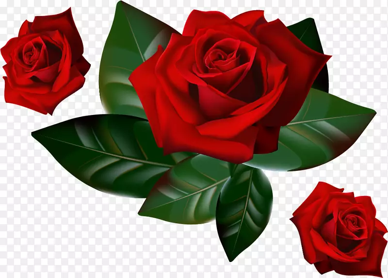 玫瑰桌面壁纸夹艺术-红玫瑰装饰