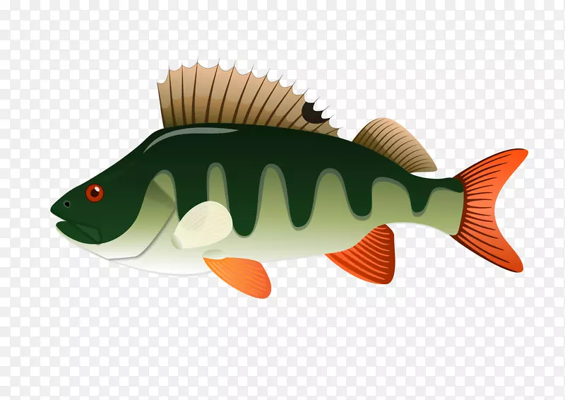 北梭鱼黄鲈鱼夹艺术-鱼