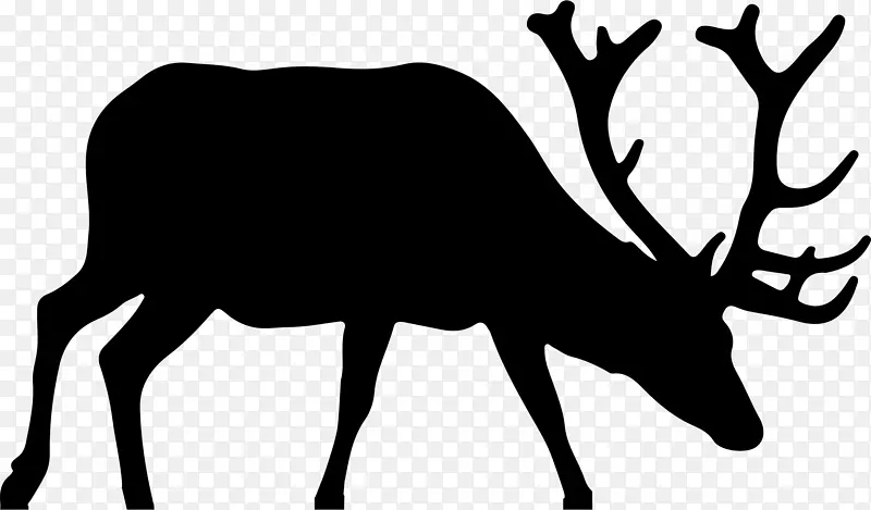 麋鹿驼鹿夹艺术鹿角