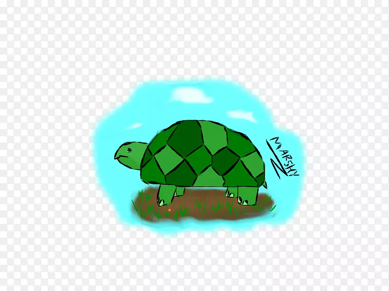 海龟爬行动物-龟类