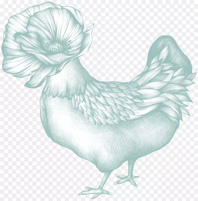 鸡噬菌体科，禽类-公鸡