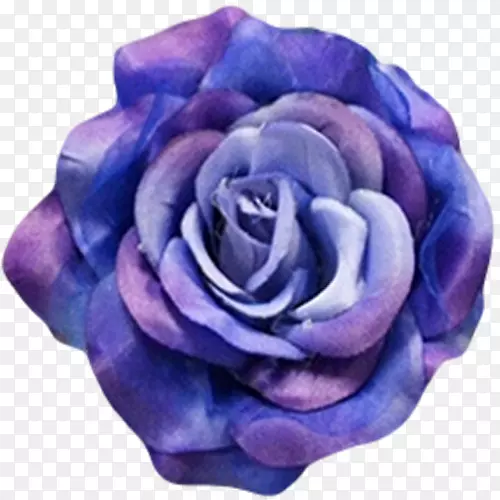 蓝玫瑰，钴蓝花-勃艮第花