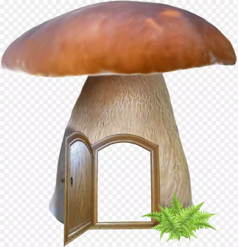 蘑菇秋饭