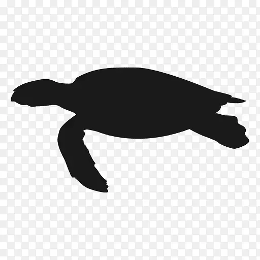 海龟爬行动物变异型忍者海龟-海底