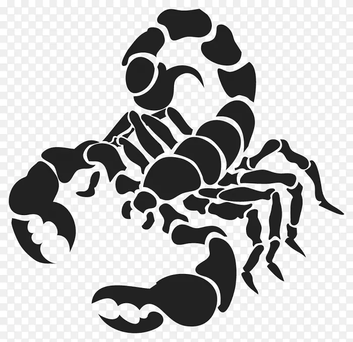 蝎子画-癌症占星术