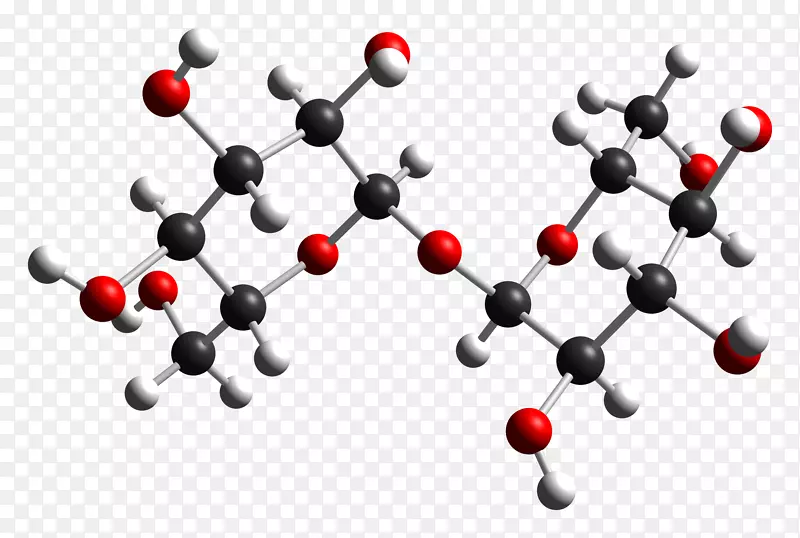 海藻糖二糖葡萄糖分子真菌分子