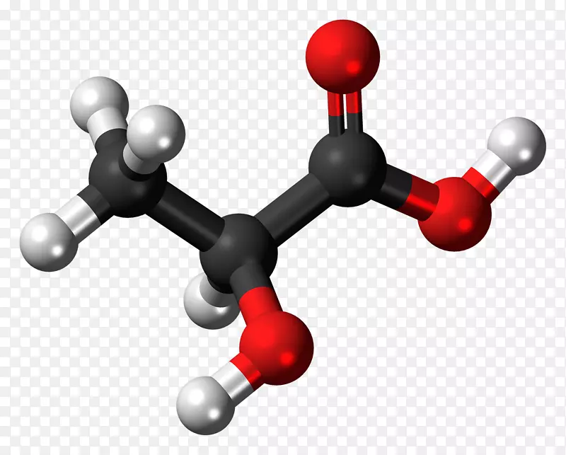 分子乳酸戊醇氨基酸分子