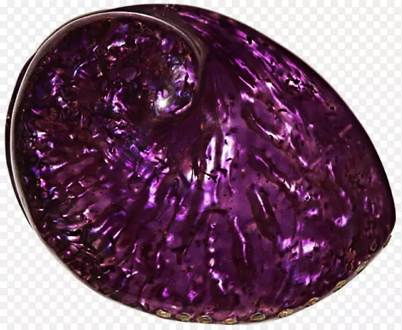 紫水晶紫丁香紫红色海贝壳