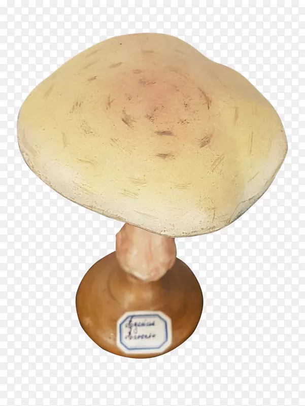 木耳科蘑菇成分-真菌
