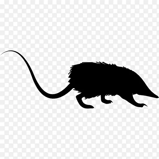 老鼠猫鼠标电脑图标-老鼠和老鼠
