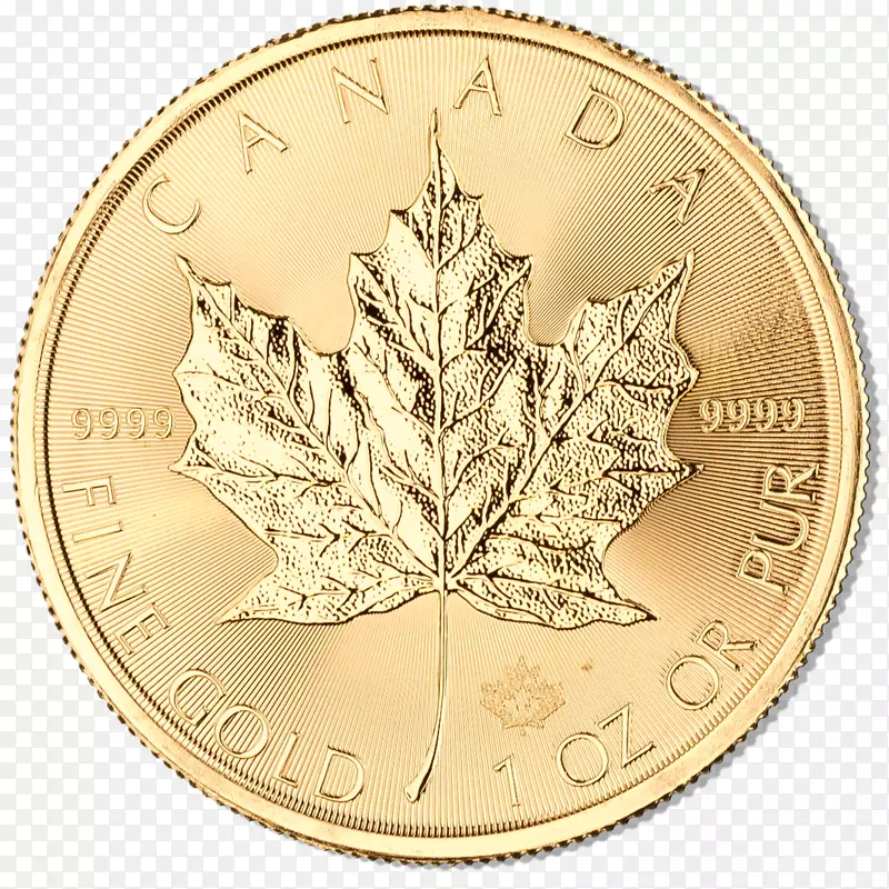 加拿大金枫叶硬币澳大利亚金块大英-金叶