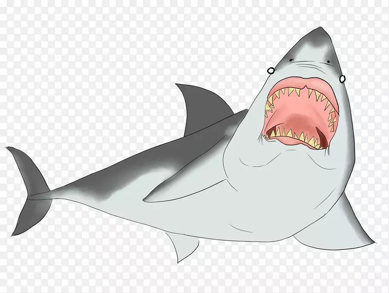 鲨鱼脊椎动物鱼鳍瘀伤