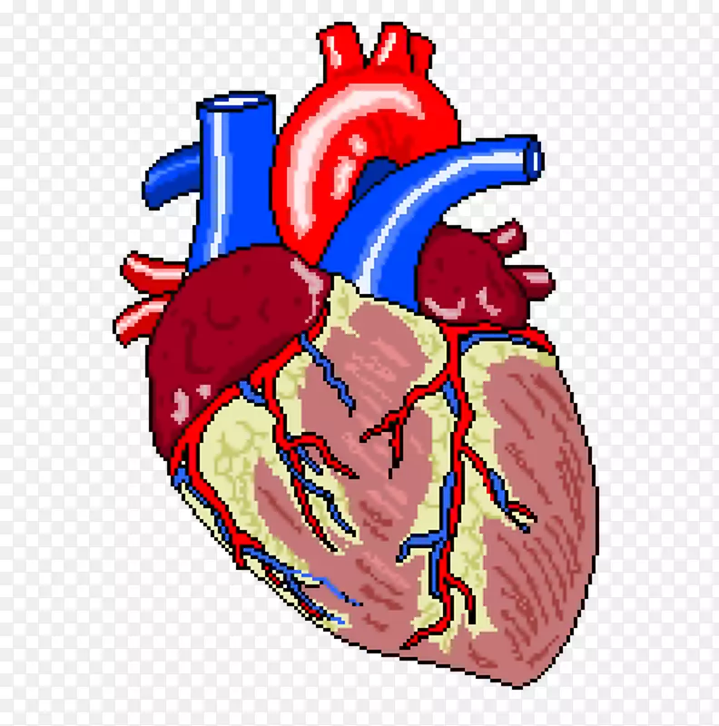 心衰冠状动脉旁路手术血管旁路心脏-心电图