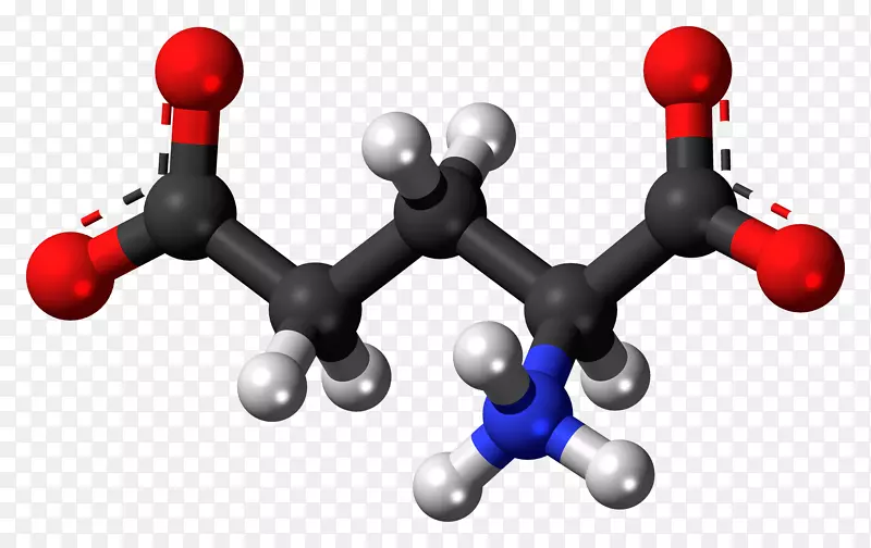 谷氨酸-谷氨酰胺支链氨基酸-分子