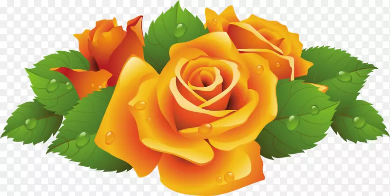 玫瑰插花艺术-黄玫瑰