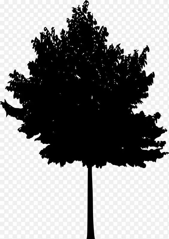 树木木本植物轮廓