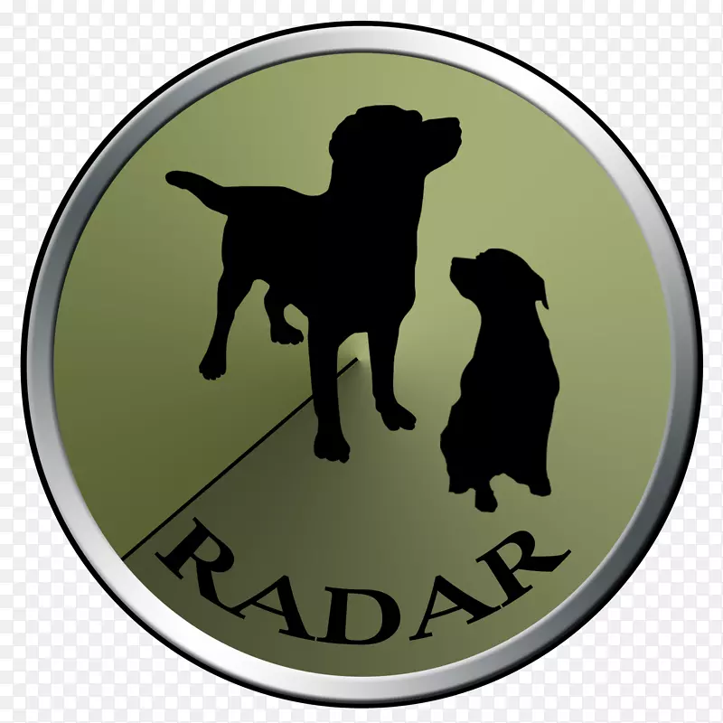 拉布拉多猎犬运动群犬繁殖犬-雷达