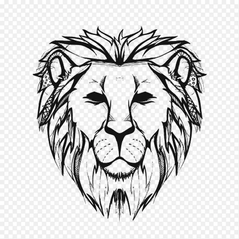 狮子画线艺术素描-狮子头