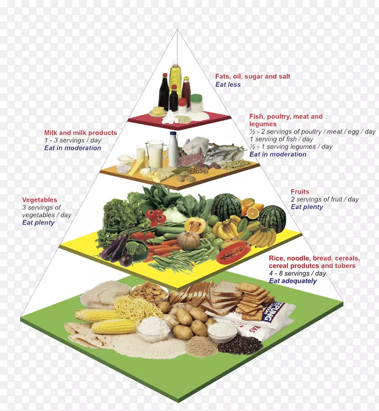营养食品金字塔营养健康饮食金字塔