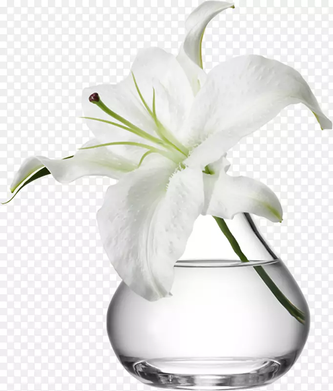 花瓶花盆玻璃花束花瓶