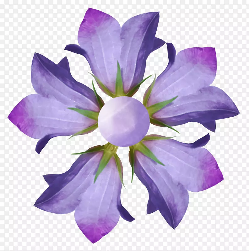 花摄影紫蓝花瓣灰花