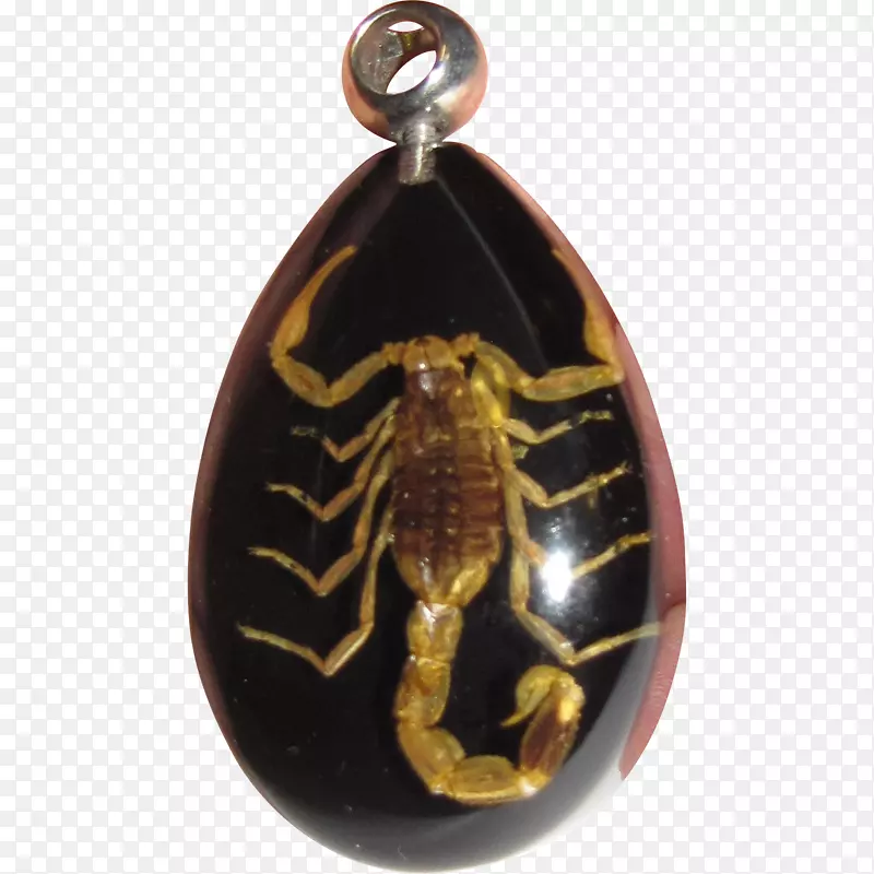 吊坠、珠宝、无脊椎动物琥珀-蝎子