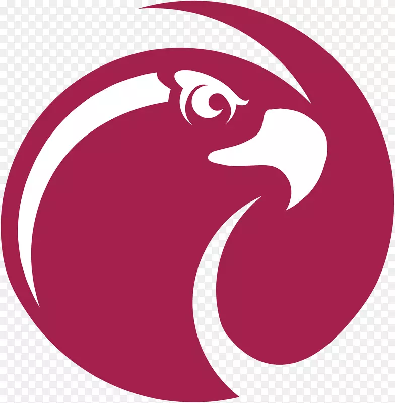 华盛顿州西华盛顿大学西雅图太平洋大学蒙大拿州立大学收费西雅图太平洋猎鹰女子篮球猎鹰