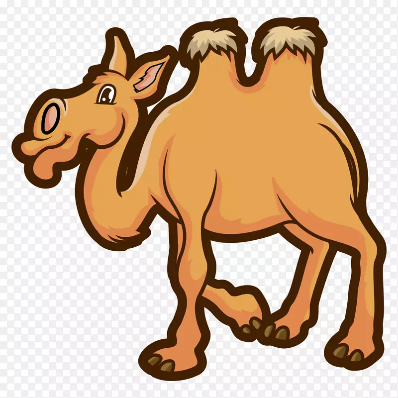 马动物剪贴画-骆驼
