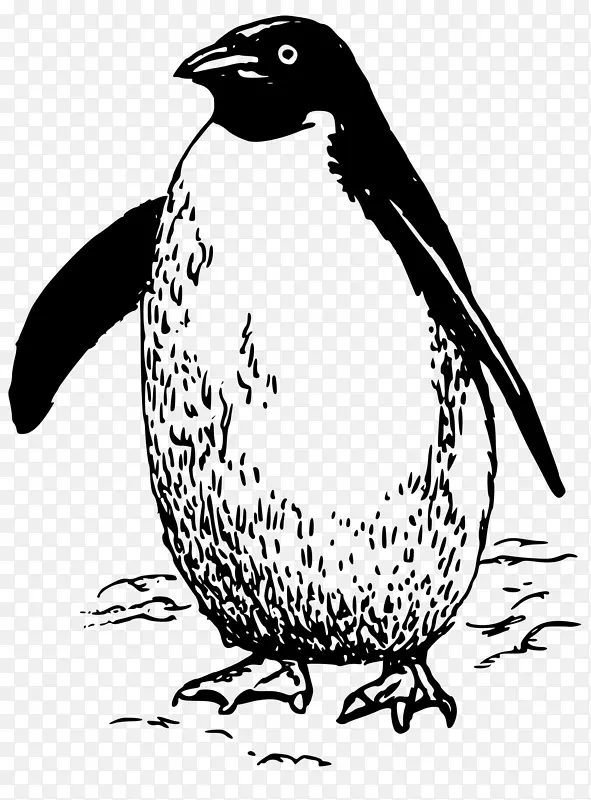 企鹅鸟剪贴画-马达加斯加企鹅
