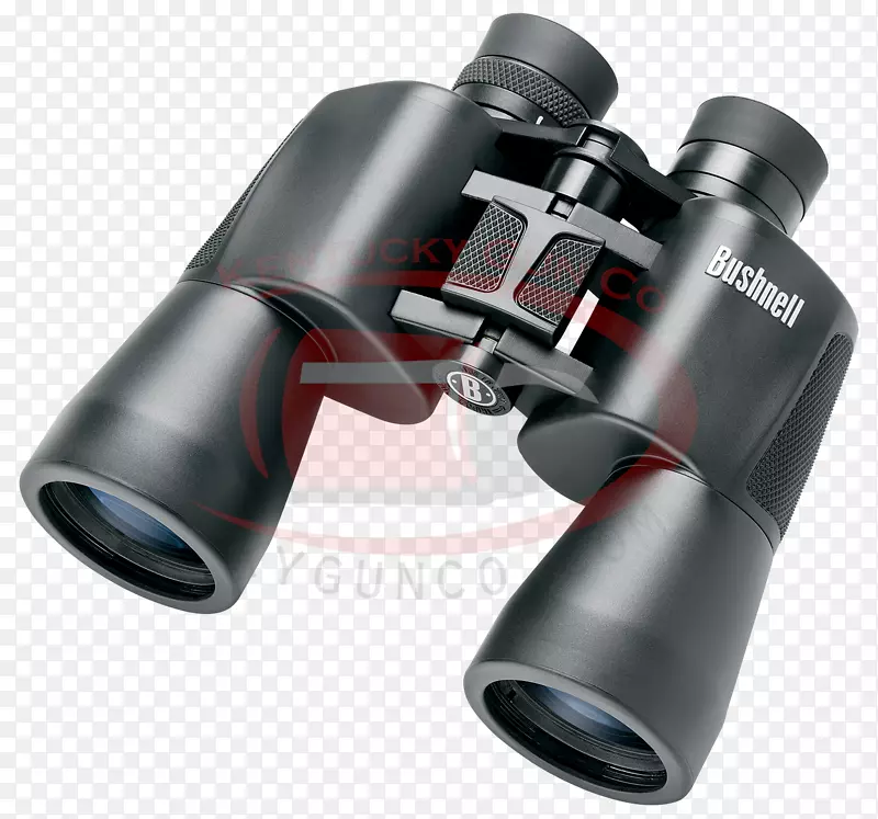 双筒望远镜，波洛棱镜，布什内尔公司放大镜-双筒望远镜