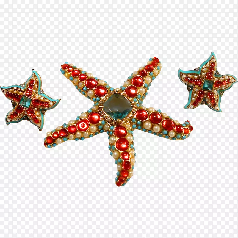 海洋无脊椎动物海星棘皮动物圣诞装饰品-海星