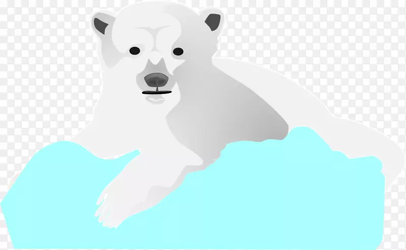 北极熊食肉狗科熊