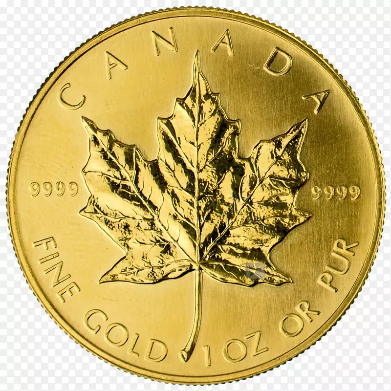 加拿大金枫叶盎司正金币和反向金币
