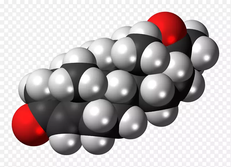 雌二醇雌激素空间填充模型类固醇孕酮分子